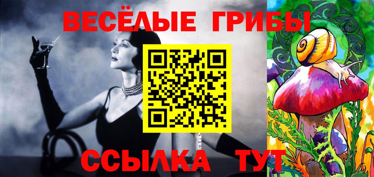 Псилоцибиновые грибы GOLDEN TEACHER  Псилоцибиновые грибы Cubensis  Вход с VPN  что такое наркотик  Клинцы 